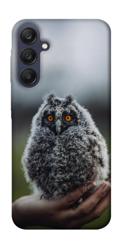 Чохол на Samsung Galaxy A25 5G Совеня фото 1 з 1