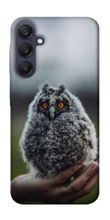 Чохол на Samsung Galaxy A25 5G Совеня фото 1 з 1