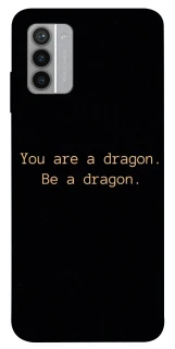 Чохол на Nokia G42 House of the Dragon ver.9 фото 1 з 1