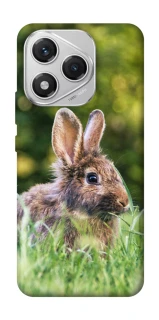 Чехол на Honor 400 Lite Кролики фото 1 из 1