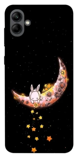 Чехол на Samsung Galaxy A04 Moon rabbit фото 1 из 1