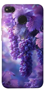 Чехол на Xiaomi Redmi 4X Bunch of grapes фото 1 из 1