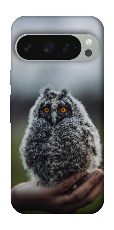 Чехол на Google Pixel 10 Pro XL Совёнок фото 1 из 1