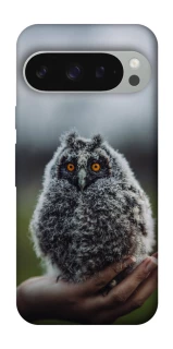 Чехол на Google Pixel 10 Pro XL Совёнок фото 1 из 1