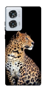 Чохол на Motorola Edge 50 Fusion Leopard v2 фото 1 з 1