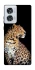Чохол на Motorola Edge 50 Fusion Leopard v2 фото 1 з 1