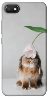 Чохол на Xiaomi Redmi 6A Bunny фото 1 з 1