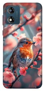 Чехол на Motorola Moto E13 Birdie фото 1 из 1