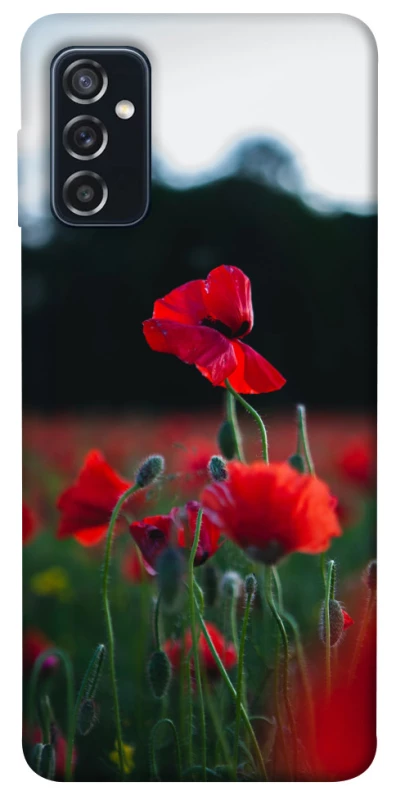 Чехол на Samsung Galaxy M52 Мак фото 1 из 1