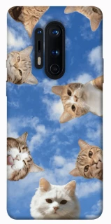 Чохол на OnePlus 8 Pro Сats фото 1 з 1