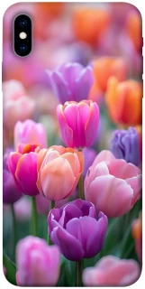 Чохол на Apple iPhone X (5.8") Тюльпанове поле фото 1 з 1