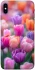 Чохол на Apple iPhone X (5.8") Тюльпанове поле фото 1 з 1