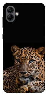 Чехол на Samsung Galaxy A04 Leopard v4 фото 1 из 1
