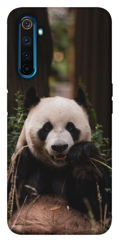 Чохол на Realme 6 Pro Панда фото 1 з 1