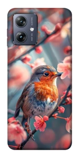 Чохол на Motorola Moto G54 Birdie фото 1 Чохол на Motorola Moto G54 Birdie фото 1 з 1