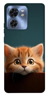 Чохол на Motorola Edge 40 Чохол Кошеня фото 1 з 1