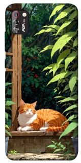 Чохол на TECNO POP 4 Pro red cat фото 1 з 1