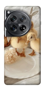 Чохол на OnePlus 12 Easter Vibes фото 1 з 1