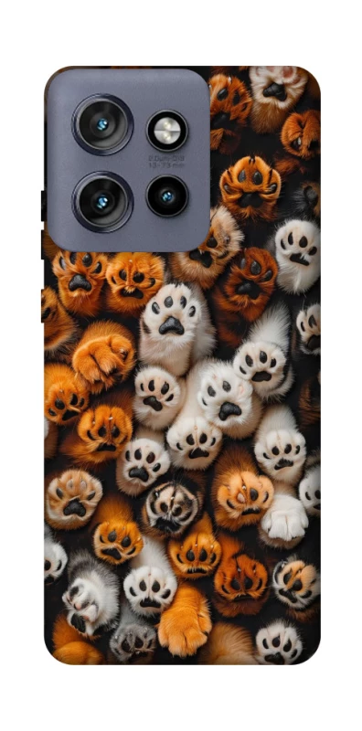 Чехол на Motorola Edge 50 Neo Сat paws фото 1 из 1