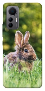 Чехол на Xiaomi 12 Lite Кролики фото 1 из 1
