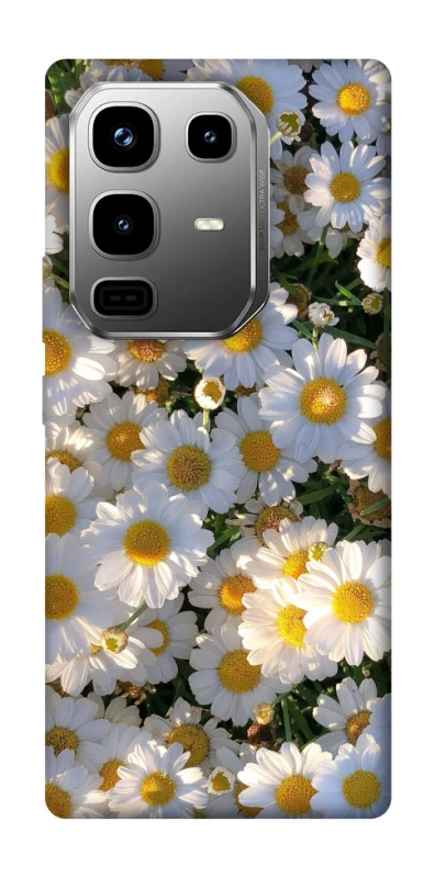 Чехол на Infinix Note 50 Pro Поле ромашек фото 1 из 1