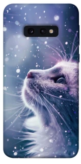 Чохол на Samsung Galaxy S10e Snow cat фото 1 з 1