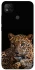 Чохол на Xiaomi Redmi 9C Leopard v4 фото 1 з 1