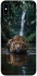 Чохол на Apple iPhone XS Max (6.5") Leopard in water фото 1 з 1