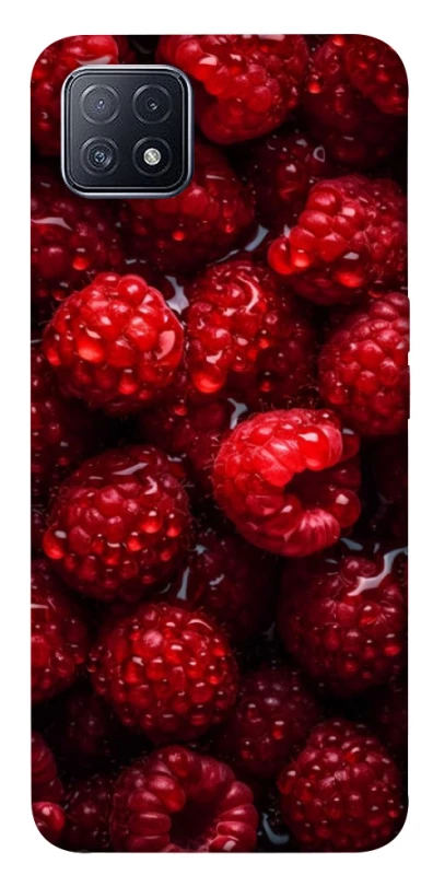 Чехол на Oppo A73 Малинка фото 1 из 1