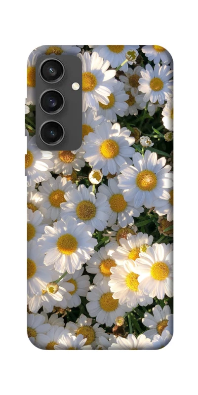 Чохол на Samsung Galaxy S24 FE Поле ромашок фото 1 з 1