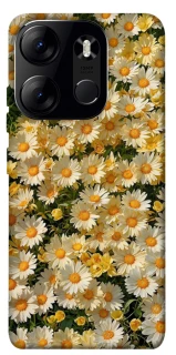 Чехол на Tecno Spark Go 2023 Camomile фото 1 из 1