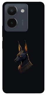 Чохол на Vivo Y36 Anubis фото 1 з 1