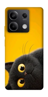 Чохол на Xiaomi Redmi Note 13 5G This is Cat фото 1 з 1