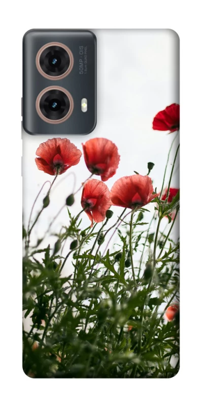 Чохол на Motorola Moto G85 Поле маків фото 1 з 1