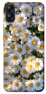 Чохол на Samsung Galaxy A04e Поле ромашок фото 1 з 1