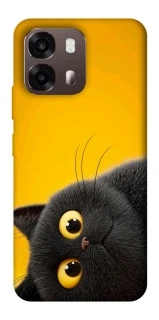 Чохол на Oppo A6 This is Cat фото 1 з 2