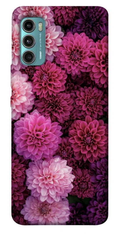 Чохол на Motorola Moto G60 Garden1 фото 1 з 1