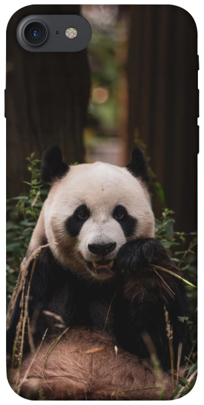 Чохол на Apple iPhone 7 / 8 (4.7") Панда фото 1 з 1