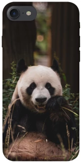 Чехол на Apple iPhone 7 / 8 (4.7") Панда фото 1 из 1