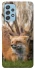 Чохол на Samsung Galaxy A52 4G / A52 5G Лисиця фото 1 з 1