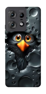 Чохол на Motorola Edge 50 Pro Ну привіт ! фото 1 з 1