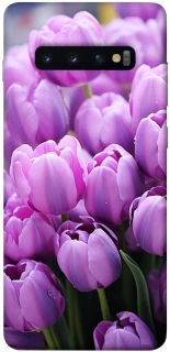 Чехол на Samsung Galaxy S10+ Фиолетовые тюльпаны фото 1 из 1