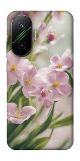 Чехол на Xiaomi Poco F7 Spring фото 1 из 1