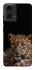 Чохол на Motorola Moto G04 Leopard v4 фото 1 з 1