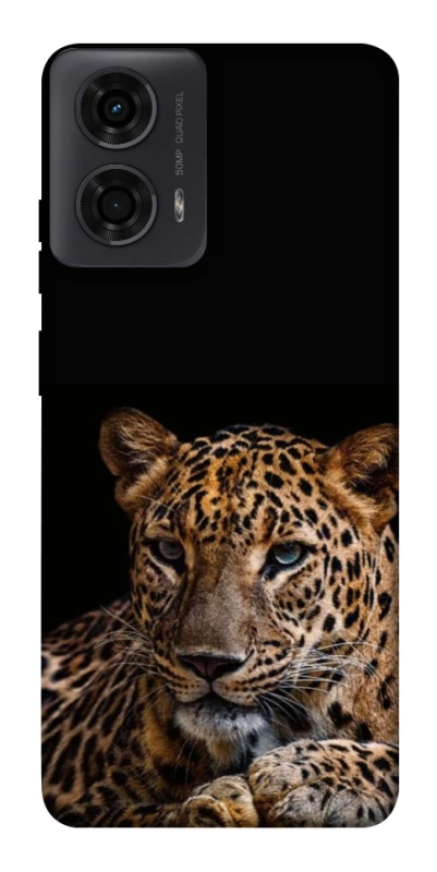 Чохол на Motorola Moto G24 Leopard v4 фото 1 з 1
