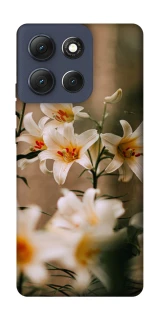 Чохол на Motorola Moto G86 Лілії фото 1 з 1