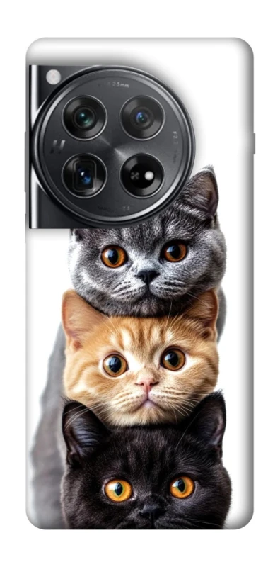 Чехол на OnePlus 12 Красивые котики фото 1 из 1
