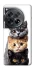 Чехол на OnePlus 12 Красивые котики фото 1 из 1