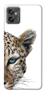 Чохол на Motorola Moto G32 Leopard Art v2 фото 1 з 1