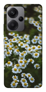 Чехол на Xiaomi Redmi Note 13 Pro+ Ромашки v13 фото 1 из 1